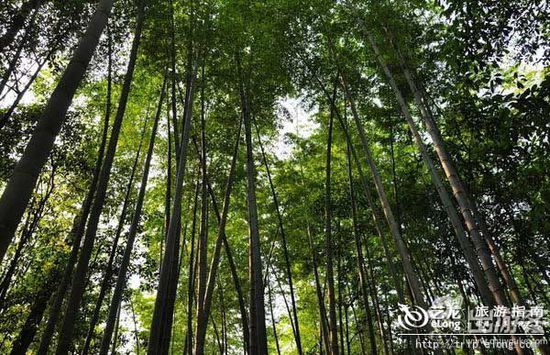 夏天去哪里旅游凉快？国内20℃的地方