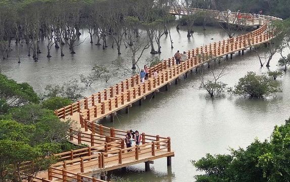 红树林木栈道.jpg